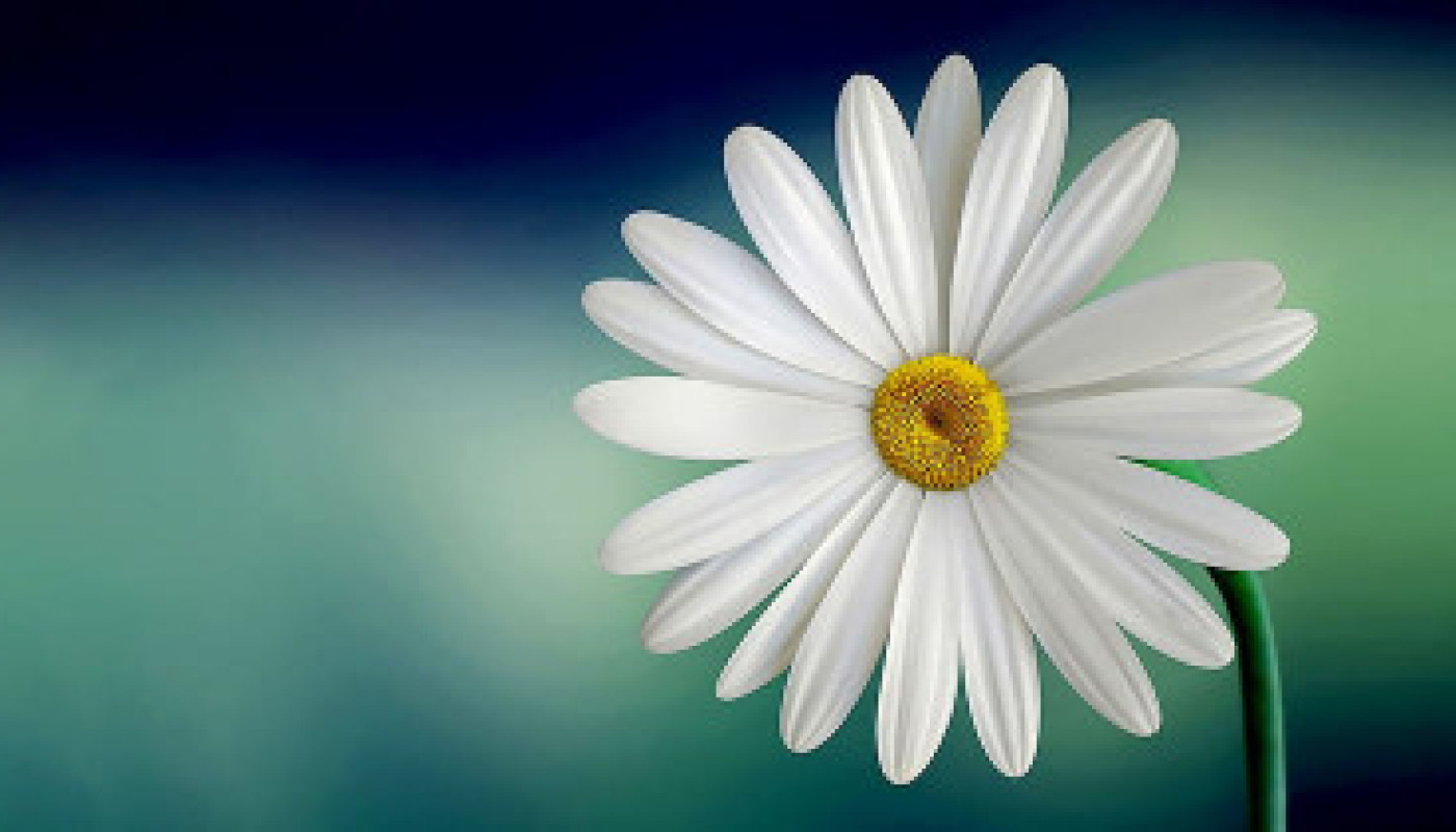 Test 5